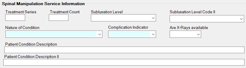 The "Spinal Manipulation Service Information" section.