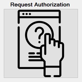 The "Authorization Request Authorization" button.