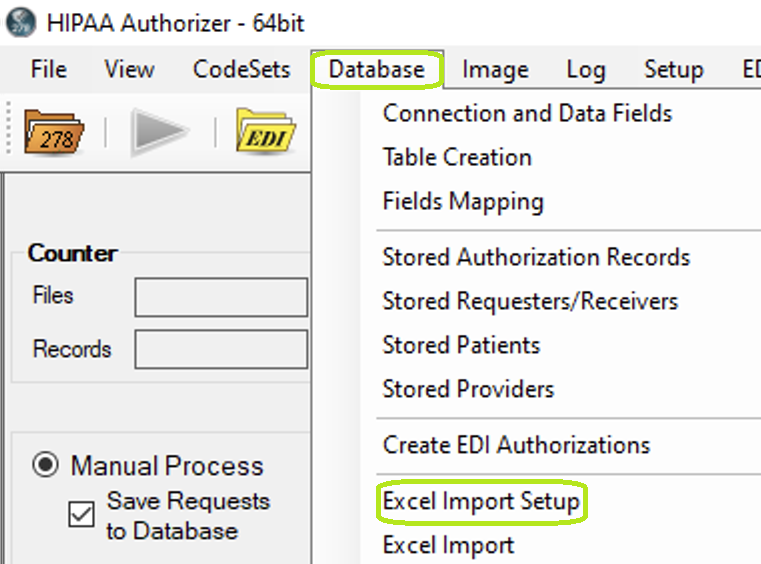 The "Excel Import Setup" option from the "Database" tab.
