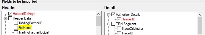 The "Import claims from excel or text file: setup" with the "Filename" unchecked.