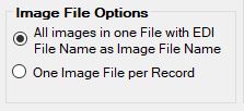 The "Image File Options" box.