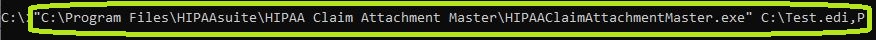 Using the "P" option as a command line argument. Using the "P" option as a command line argument.