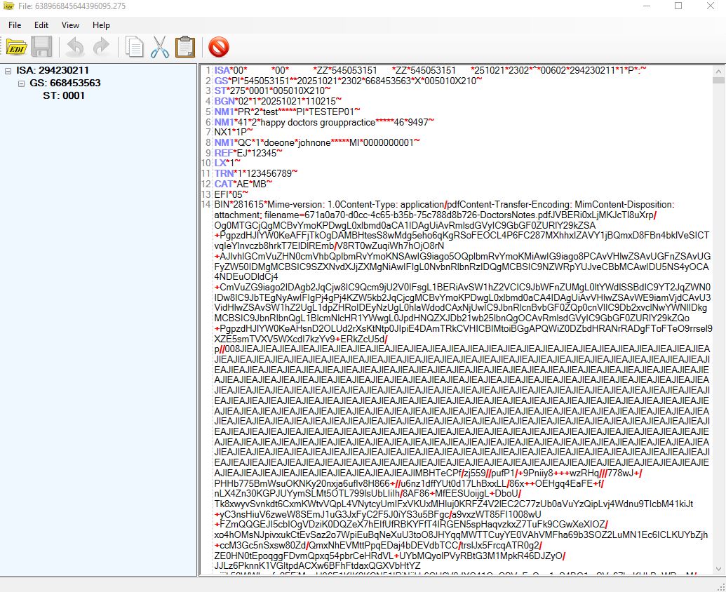 EDI file preview window. EDI file preview window.