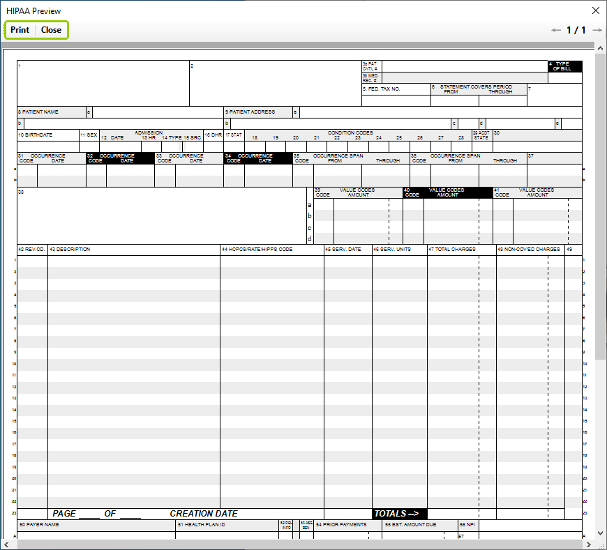 The "UB-04 (NPI)" form preview window.