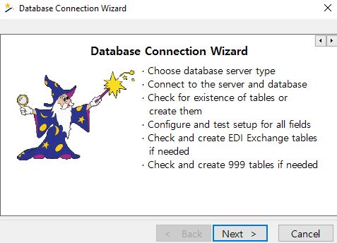 The "Database Connection Wizard" window guides users step by step in establishing the connection.
