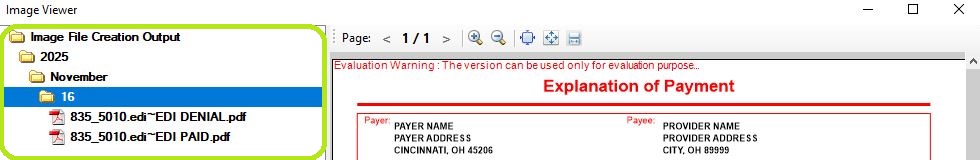 The "Image Panel" of the "Image Viewer" window. The "Image Panel" of the "Image Viewer" window.