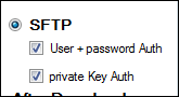 SFTP1
