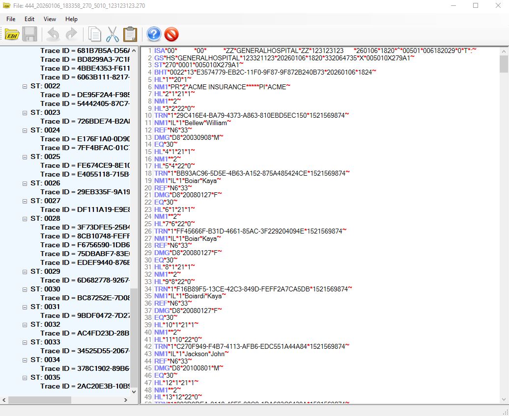 EDI file preview window.