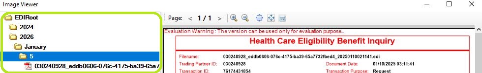 The "Image Panel" of the "Image Viewer" window.