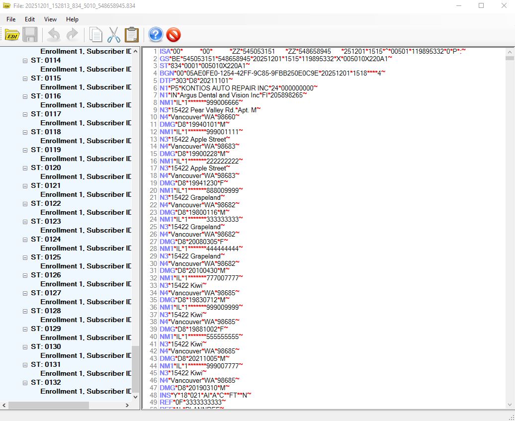 EDI file preview window.