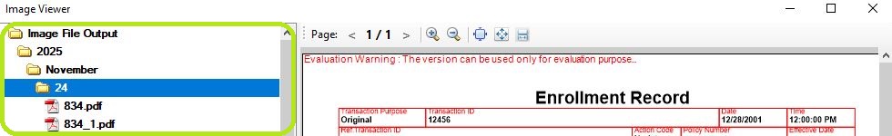The "Image Panel" of the "Image Viewer" window.