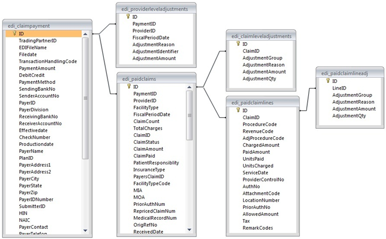 The database schema used to save Payment Advice records.